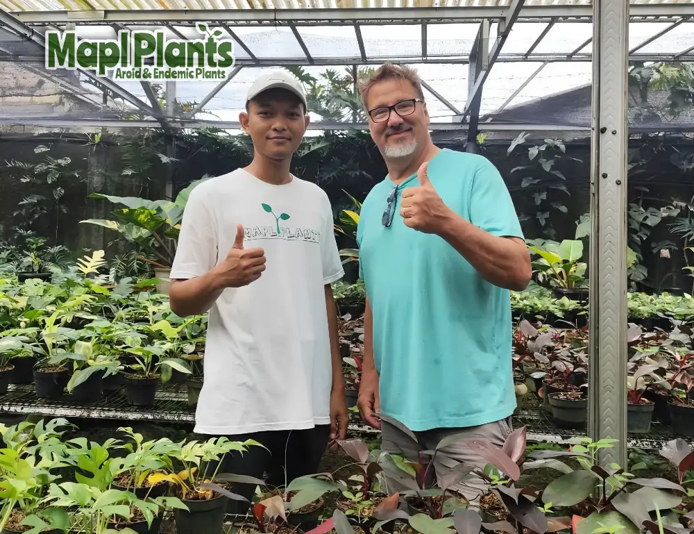 Greenhouse Nursery